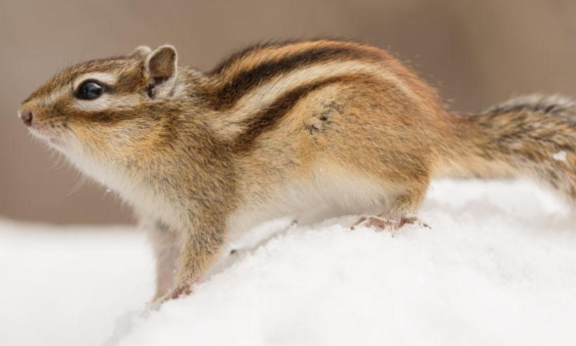 上海奧科華中國際貿易有限公司輪播圖1