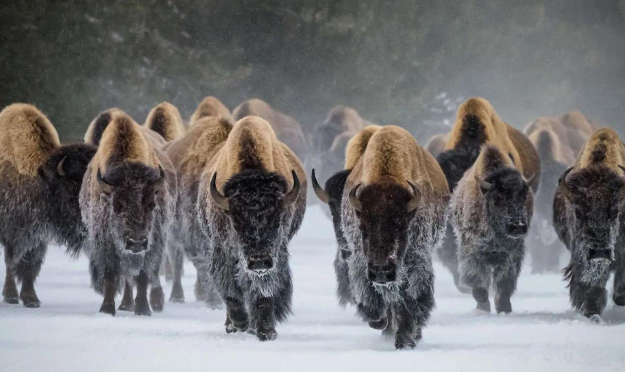 上海奧科華中國際貿易有限公司輪播圖2